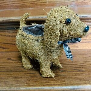 Dog pup Golden retriever Planter Coconut Coco Fiber Flower Pot Succulents
